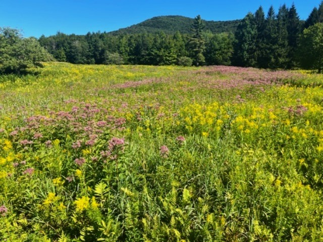 High Ponds Farm Nature Preserve